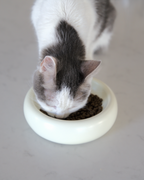 Ceramic Cat Bowl product image 1