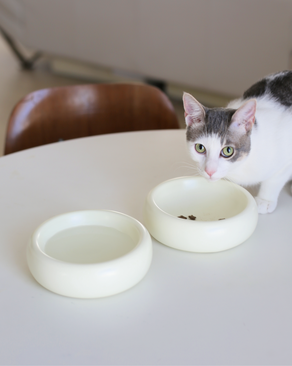Ceramic Cat Bowl product image 3