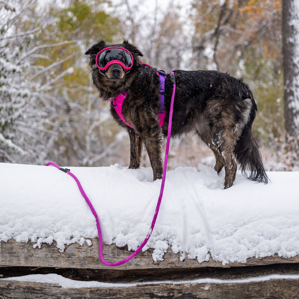 Dog Harness product image 7