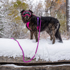 Dog Harness product image 7