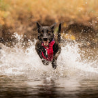 Dog Harness product image 8