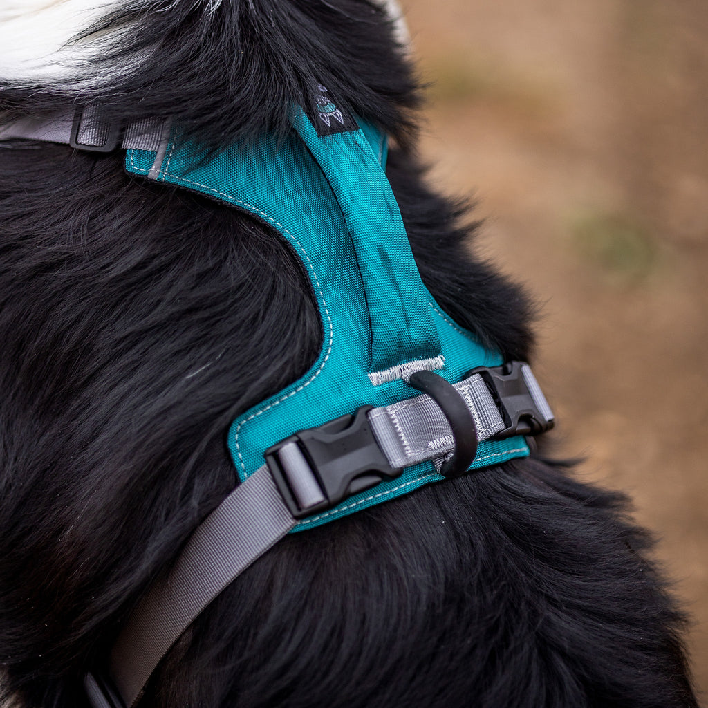 Dog Harness product image 15