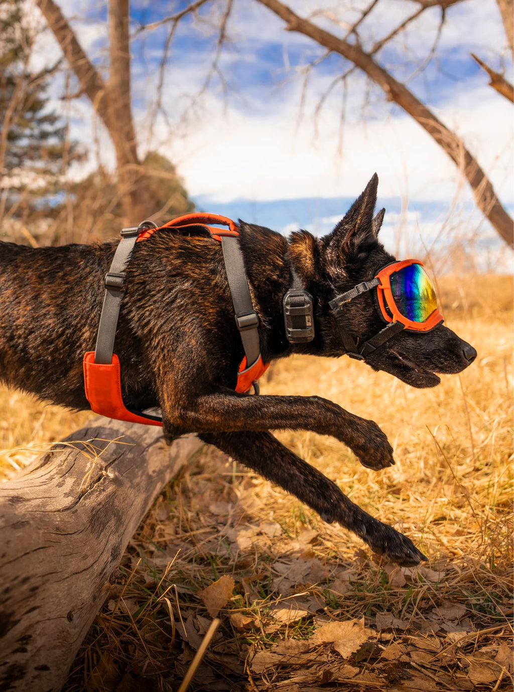 Dog Harness product image 18