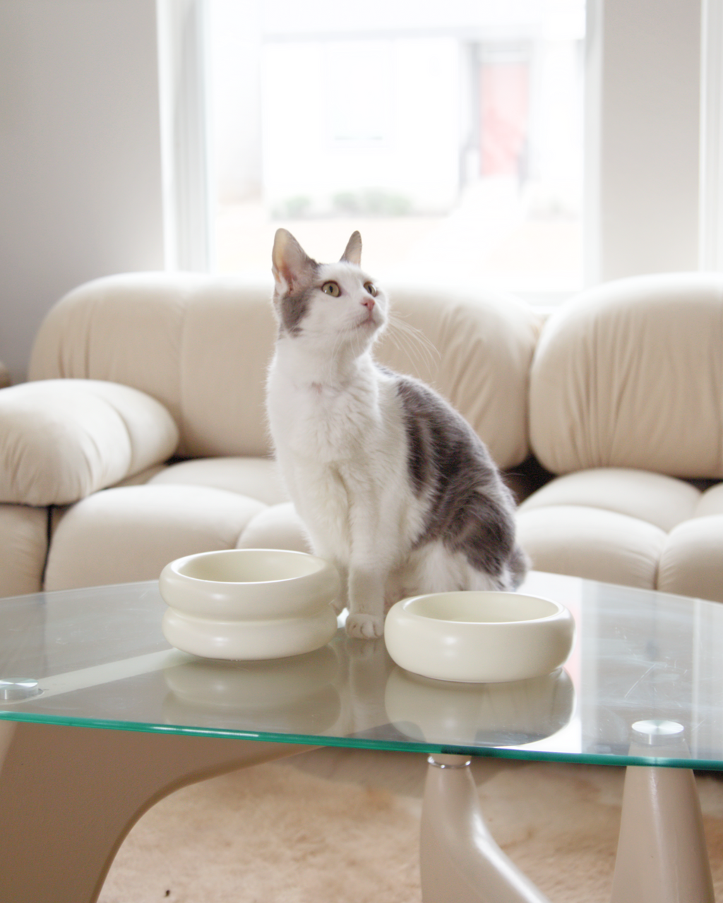 Elevated Cat Bowl product image 2