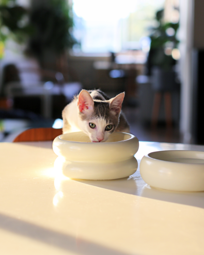 Elevated Cat Bowl product image 3