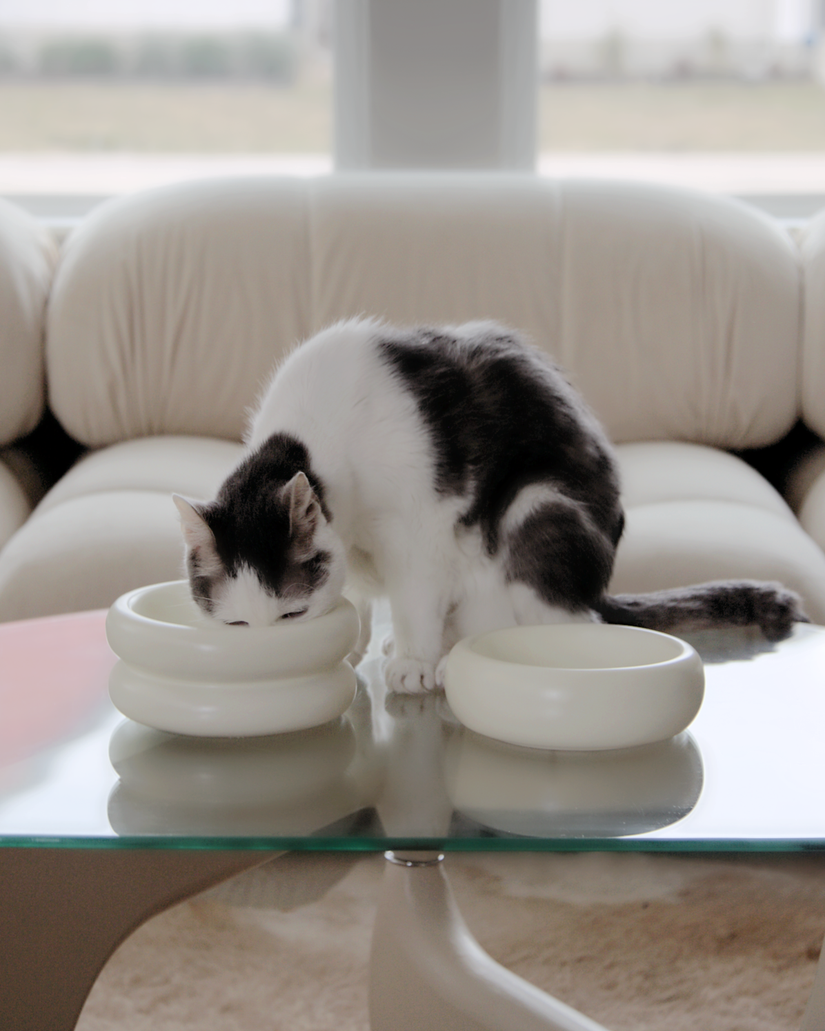 Elevated Cat Bowl product image 4