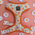 Adjustable Dog Harness product image 1
