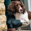 Dog Drying Mitts product image 1