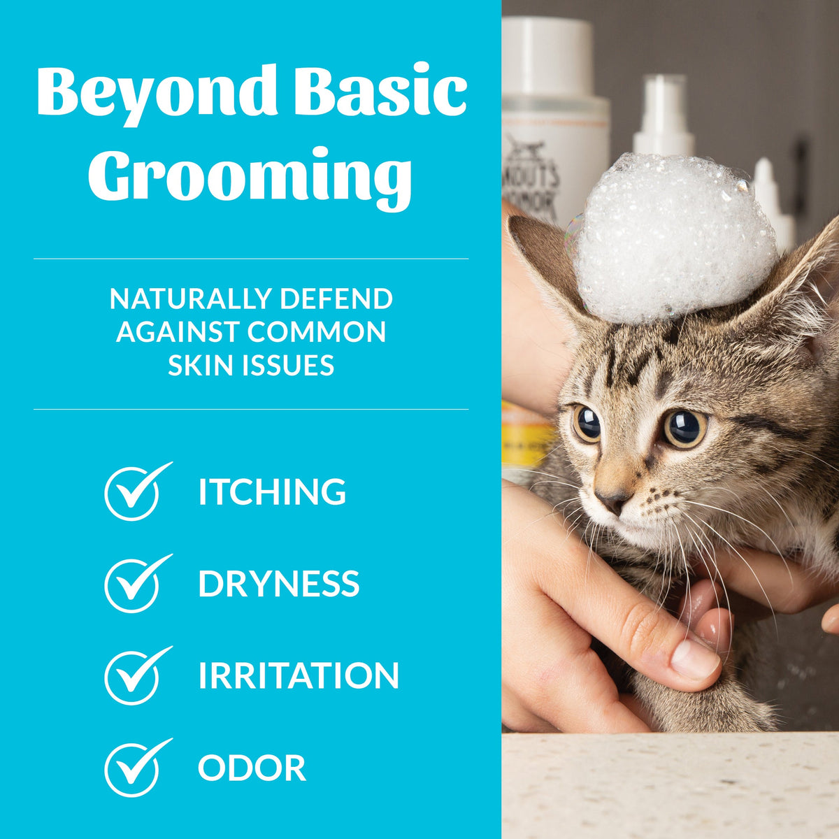 Cat Shampoo product image 5