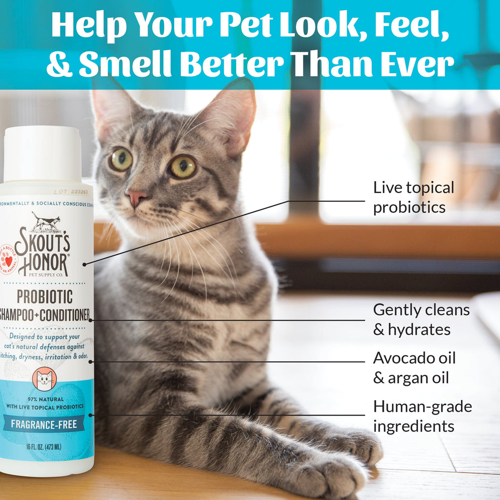 Cat Shampoo product image 7