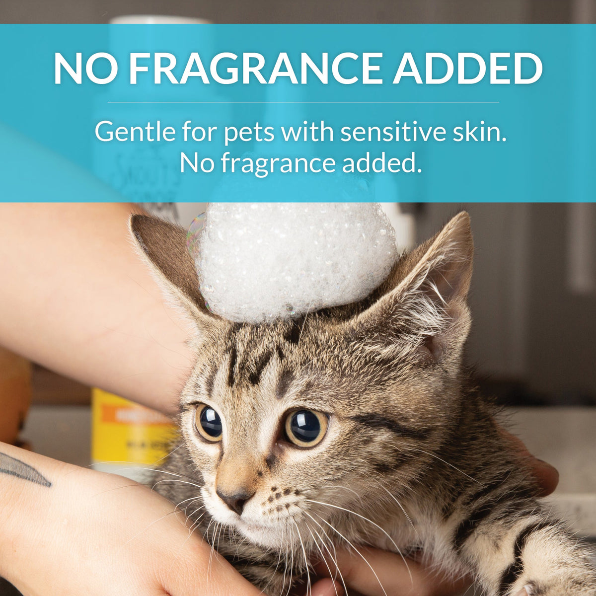 Cat Shampoo product image 8