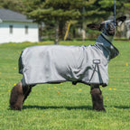 Nylon Sheep Blanket, Mesh Butt