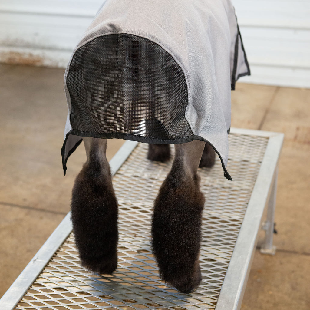 Nylon Sheep Blanket, Mesh Butt
