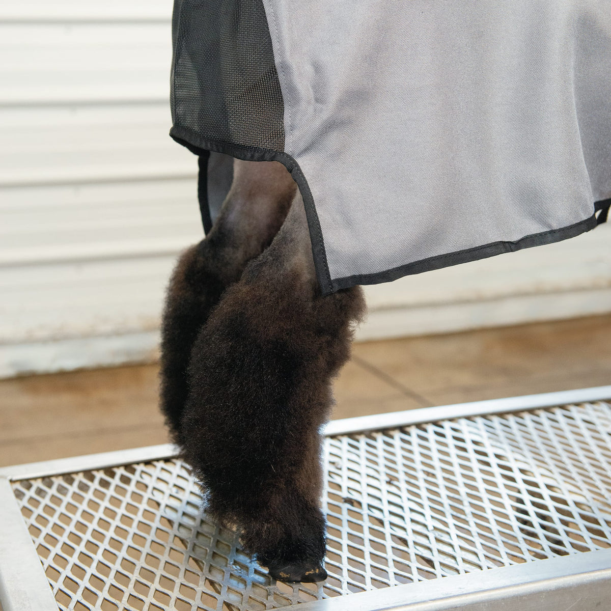 Nylon Sheep Blanket, Mesh Butt