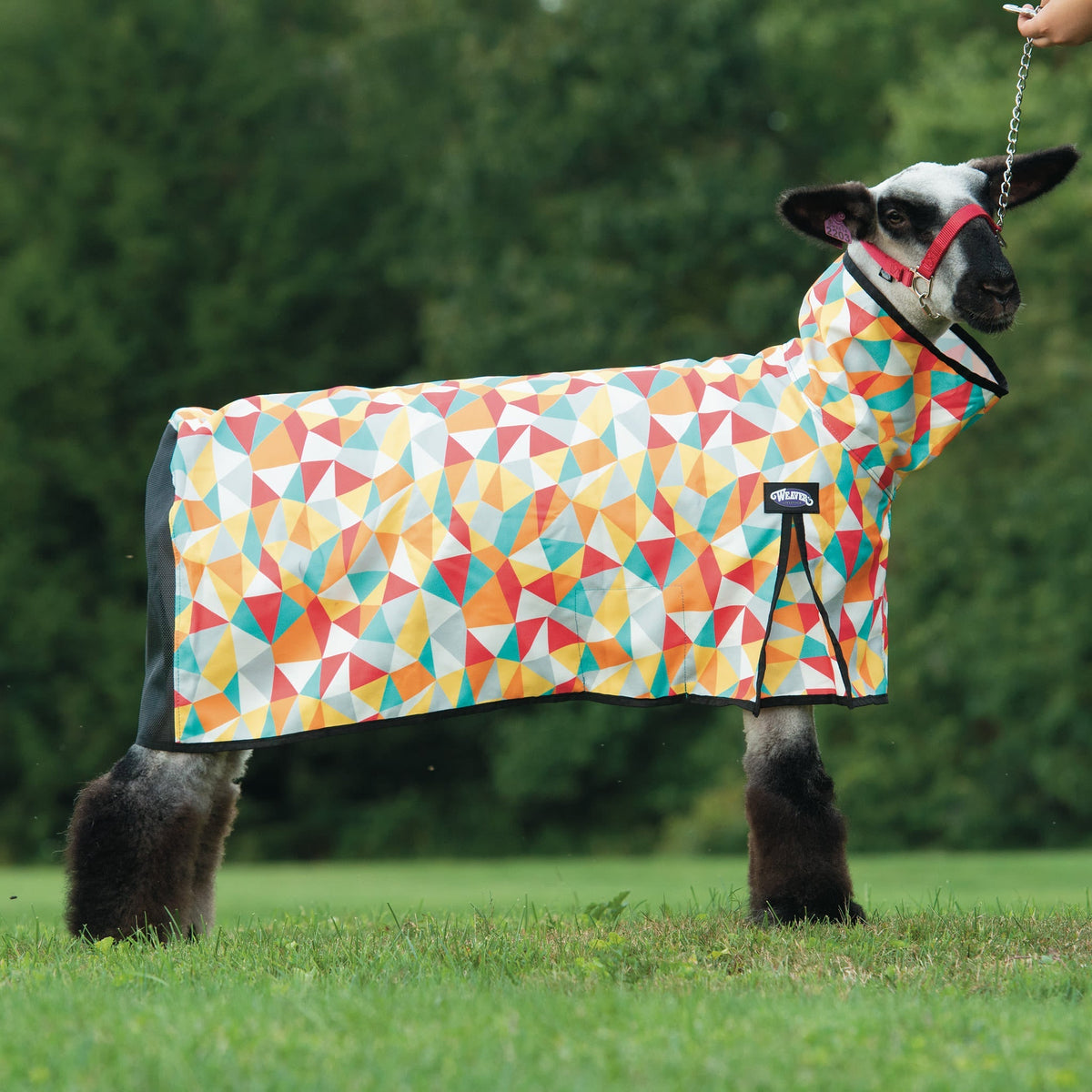 Nylon Sheep Blanket, Mesh Butt