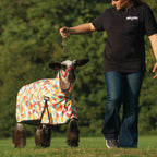 Nylon Sheep Blanket, Mesh Butt