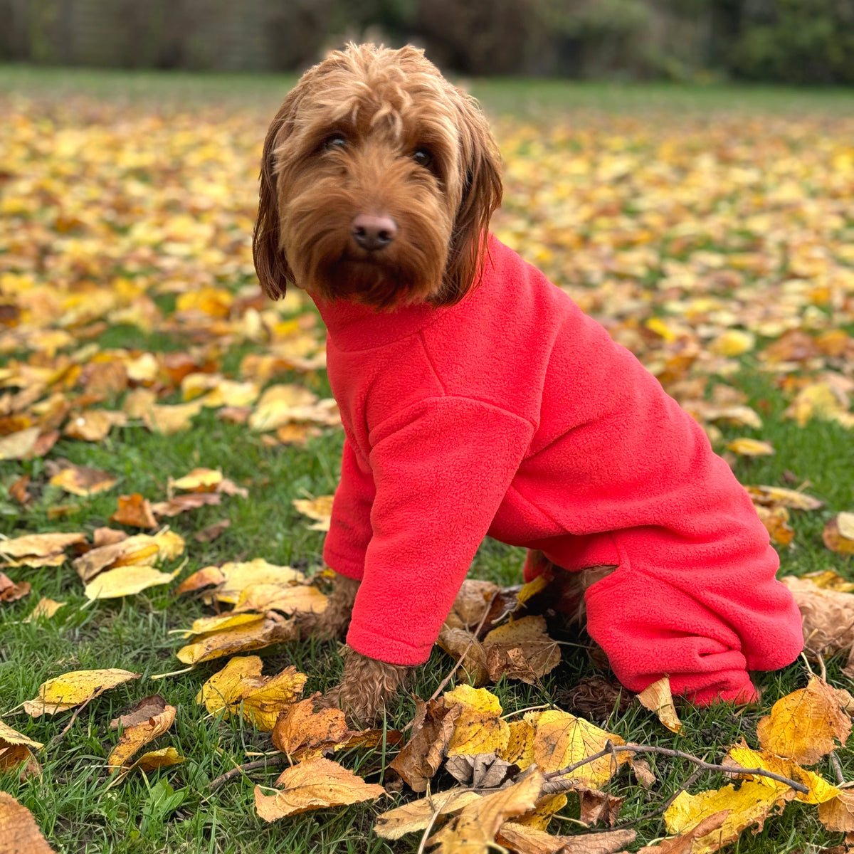 Dog Fleece product image 1