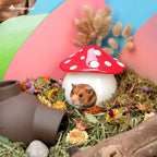 Ceramic Hamster Hideout product image 6