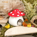 Ceramic Hamster Hideout product image 7