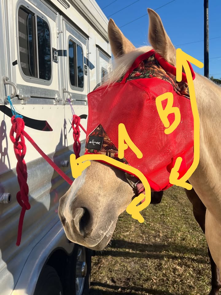 Horse Fly Mask product image 22