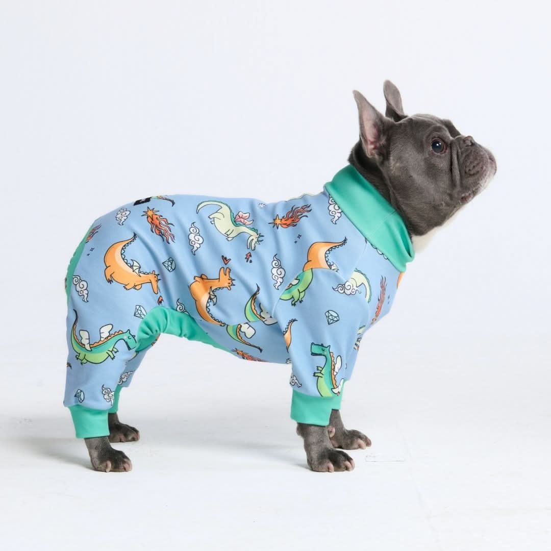 Dog Pajamas product image 38