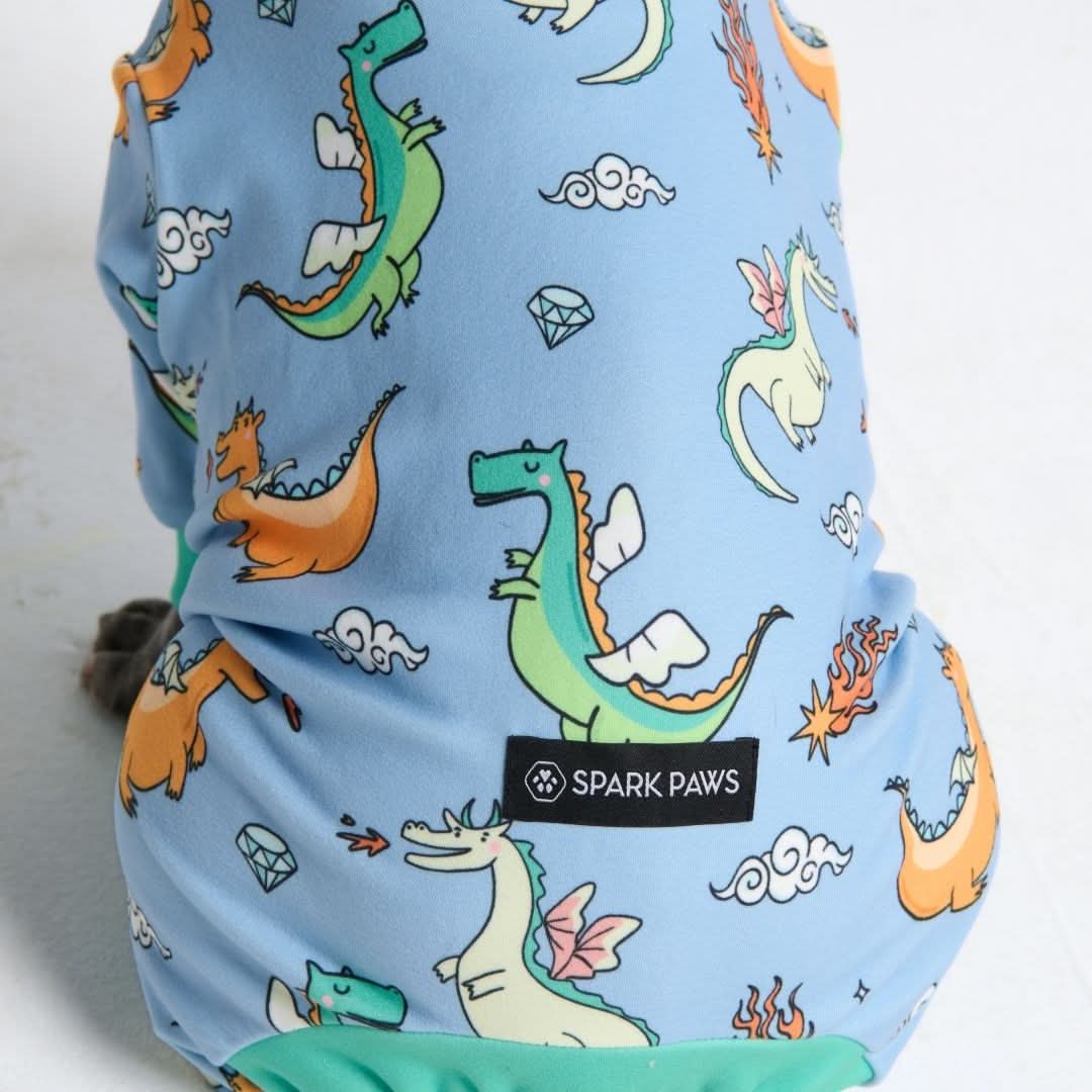 Dog Pajamas product image 40