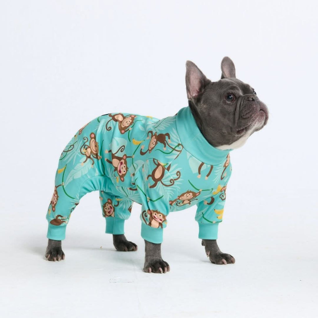 Dog Pajamas product image 49