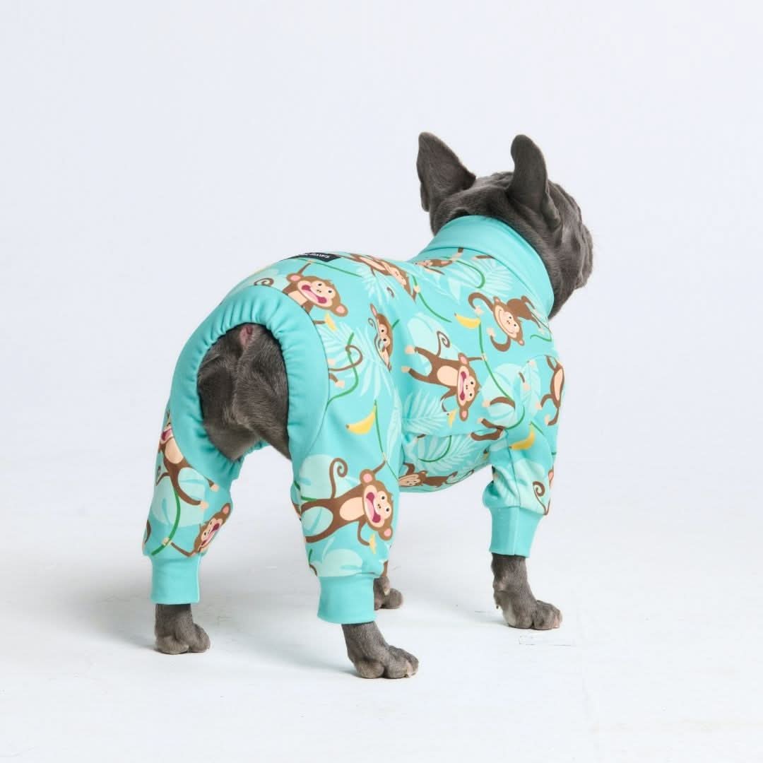 Dog Pajamas product image 51