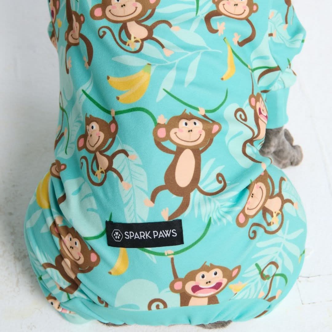 Dog Pajamas product image 52