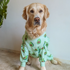 Dog Pajamas product image 70