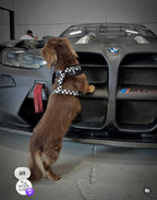 Adjustable Dog Harness product image 8