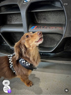 Adjustable Dog Harness product image 12