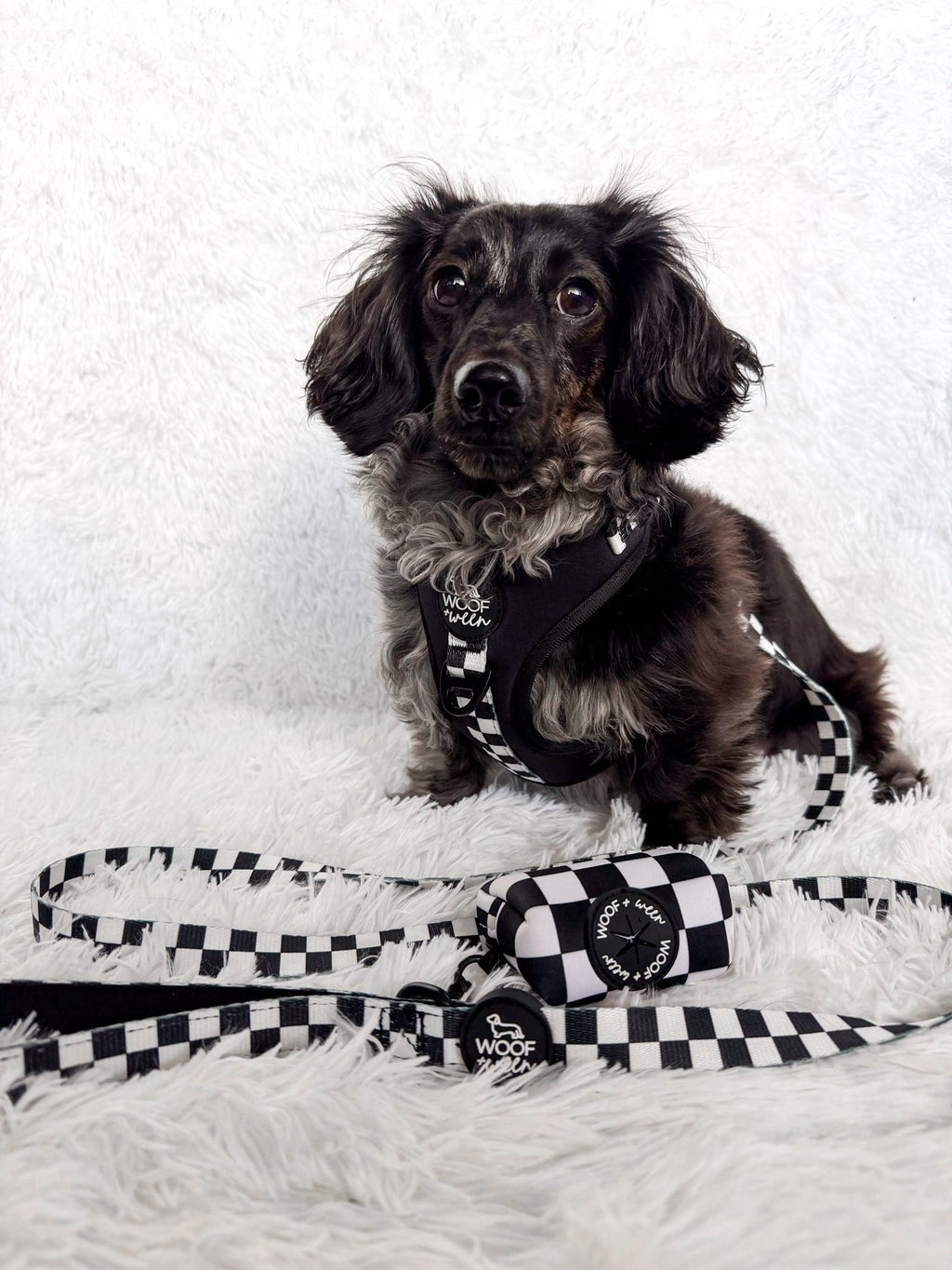 Adjustable Dog Harness product image 13