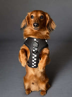 Adjustable Dog Harness product image 16