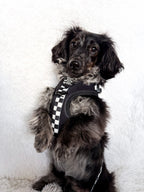 Adjustable Dog Harness product image 17