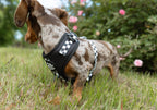 Adjustable Dog Harness product image 21