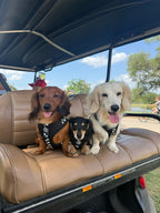 Adjustable Dog Harness product image 22