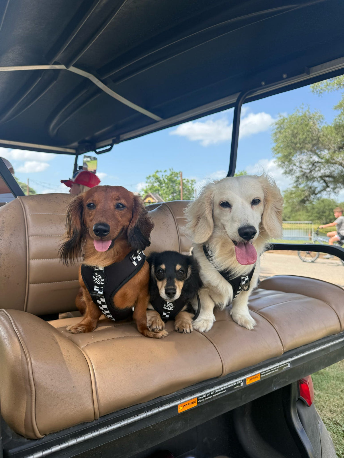 Adjustable Dog Harness product image 22