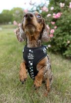 Adjustable Dog Harness product image 24