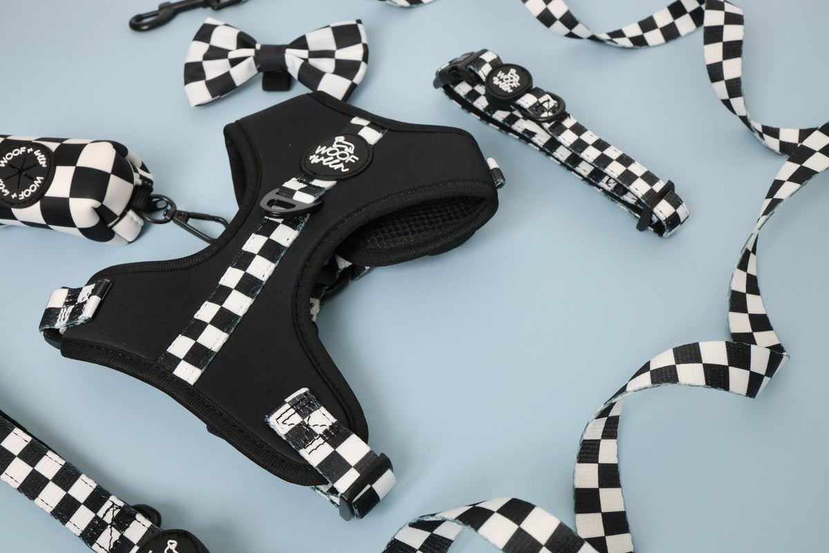 Adjustable Dog Harness product image 25