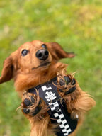 Adjustable Dog Harness product image 28