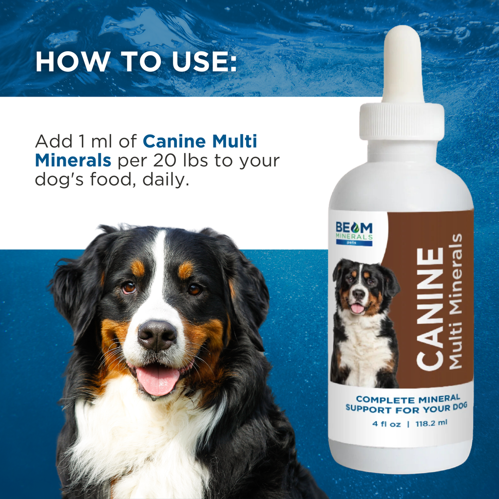 Canine Mineral and Electrolyte Supplement Set product image 3