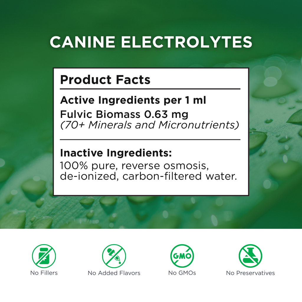 Canine Mineral and Electrolyte Supplement Set product image 5
