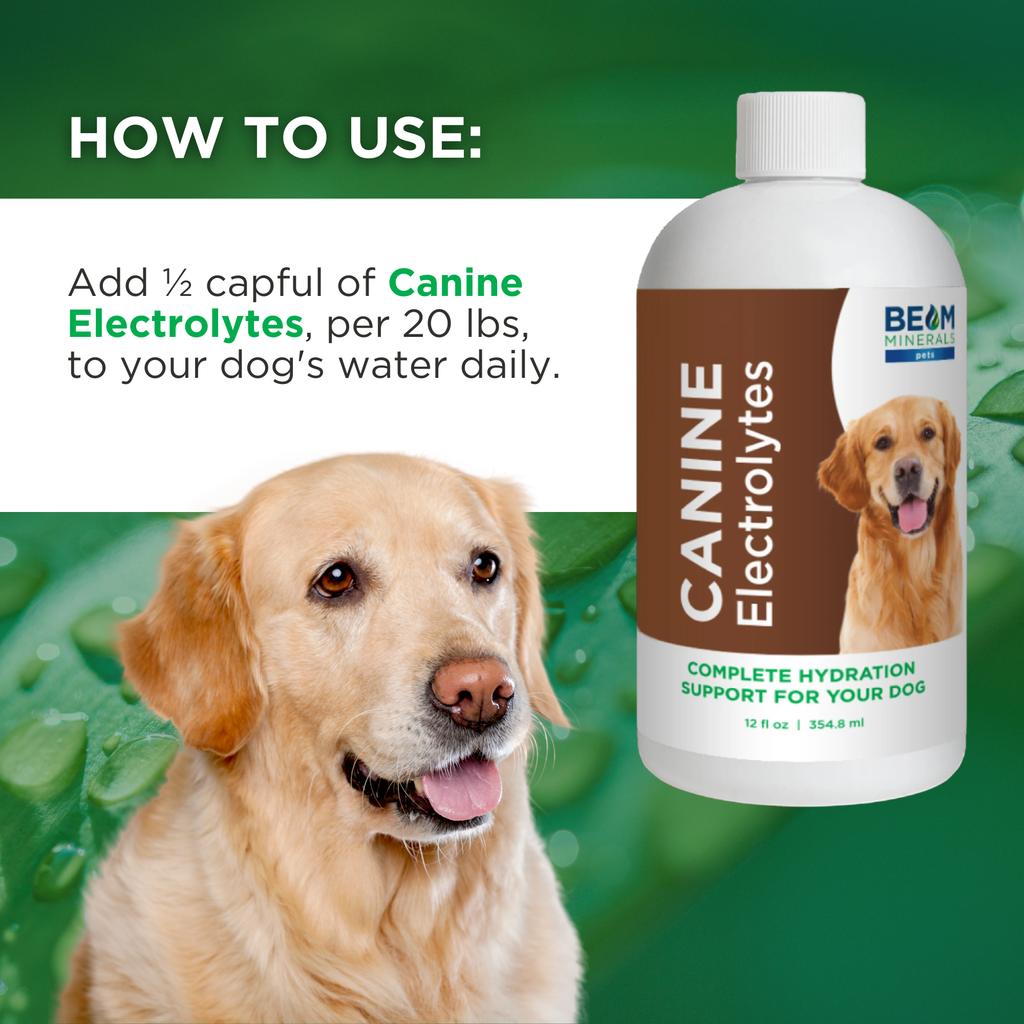 Canine Mineral and Electrolyte Supplement Set product image 7