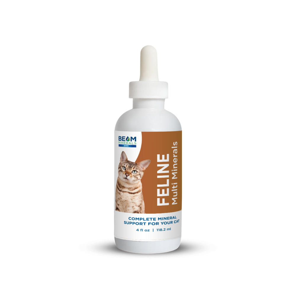 Cat Mineral Supplement product image 1
