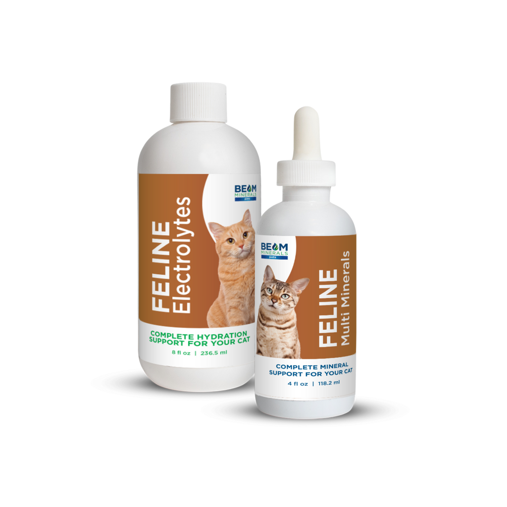 Cat Mineral Supplement product image 1