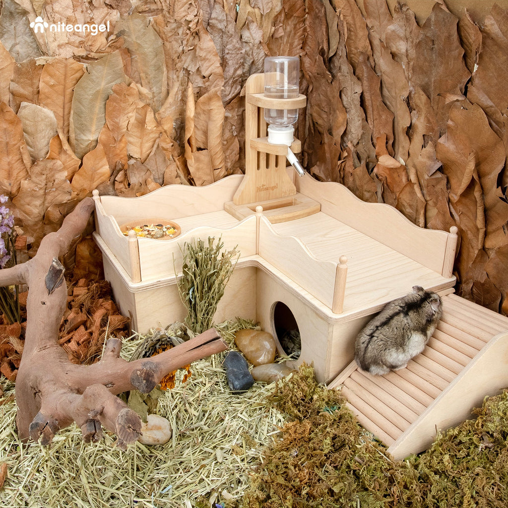 Hamster Platform product image 8