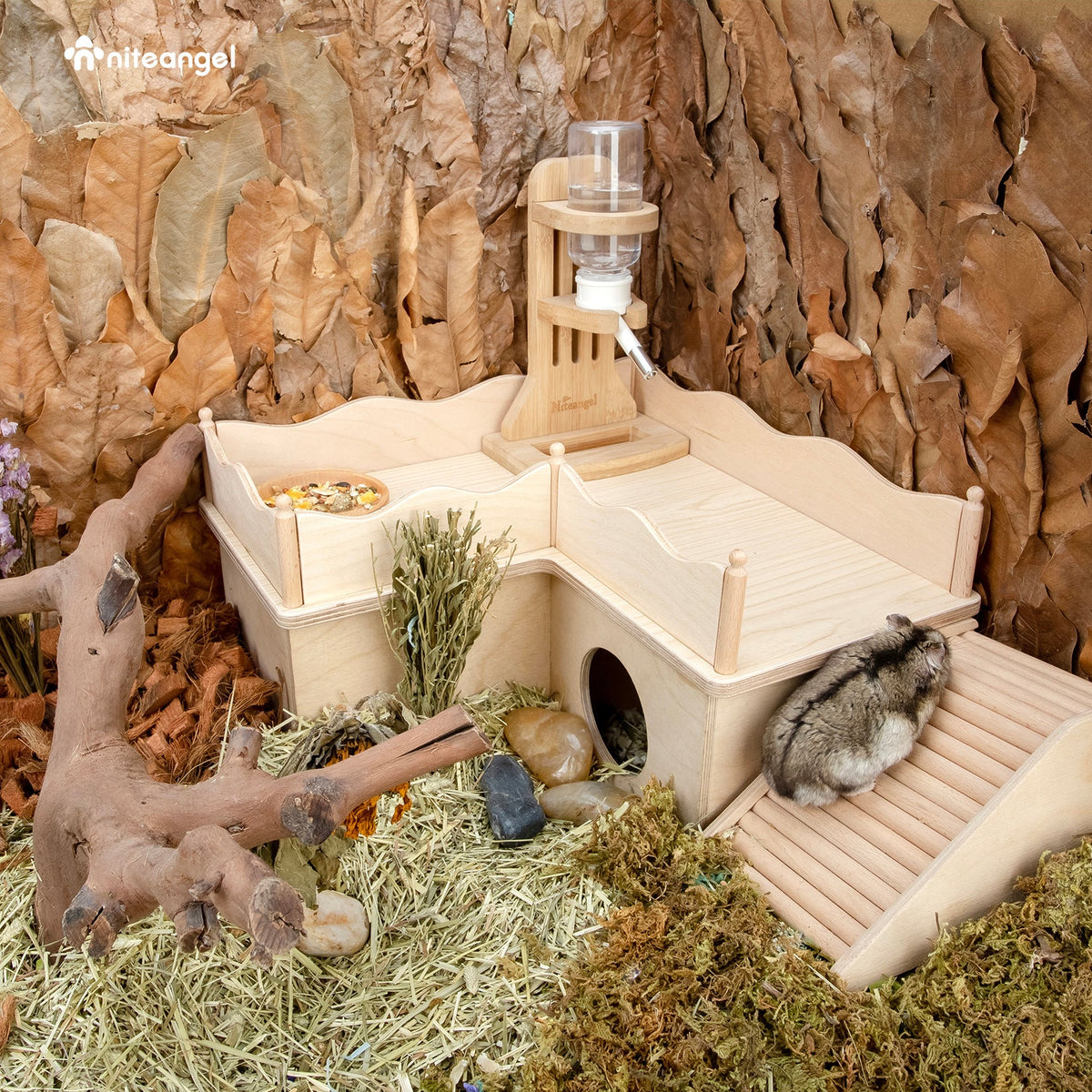 Hamster Platform product image 8