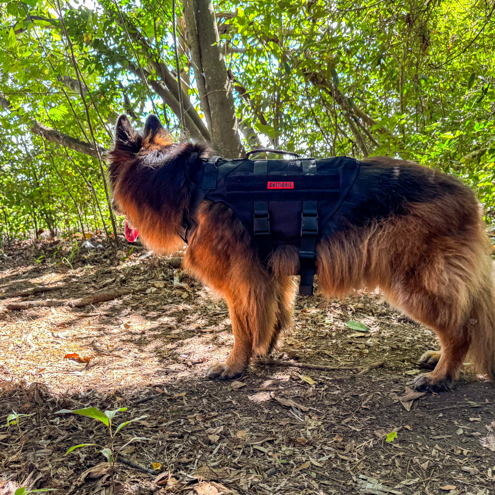 Mesh Dog Harness product image 11