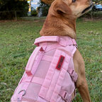 Mesh Dog Harness product image 12